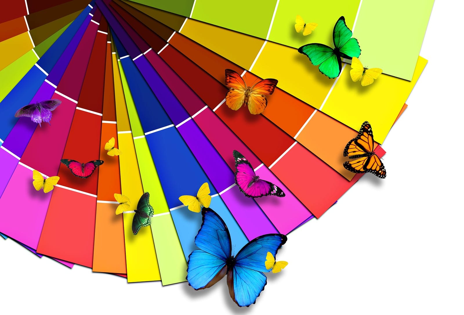 A bright color wheel sits with butterflies of matching colors flying above it.